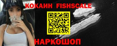 дурь Сланцы