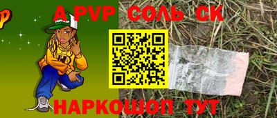 дурь Сланцы