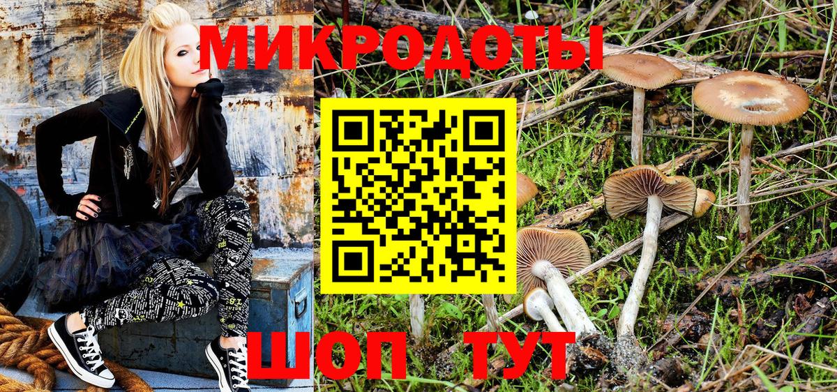 закладка  Вход с VPN  Омск  Галлюциногенные грибы Psilocybe 