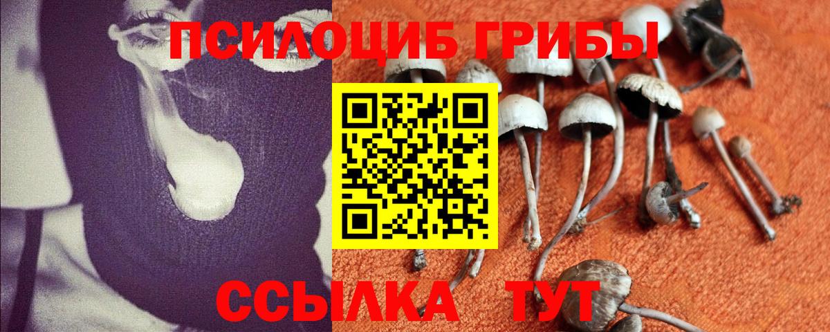 Псилоцибиновые грибы MAGIC MUSHROOMS Омск
